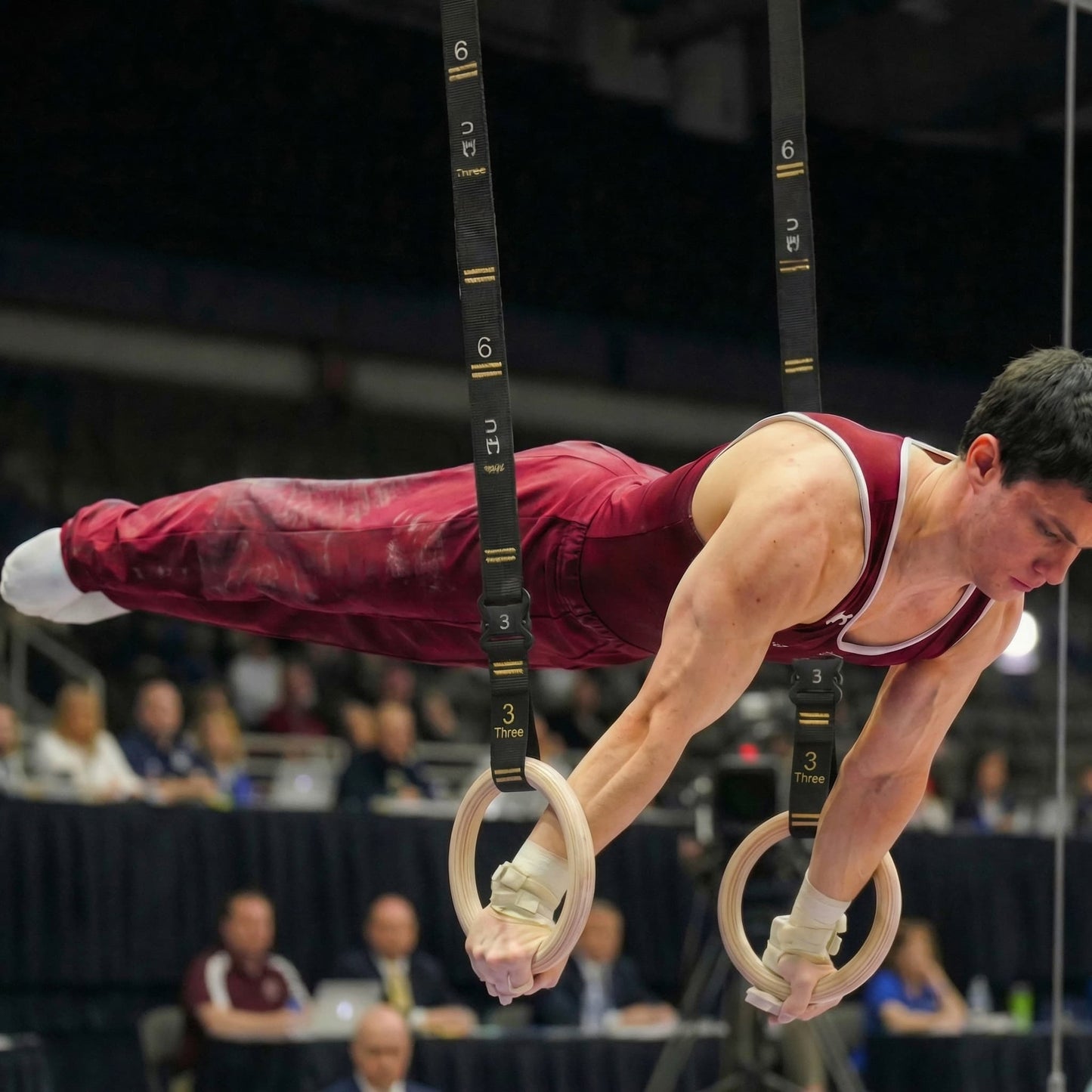 KABBM™ Pro Gymnastics Rings
